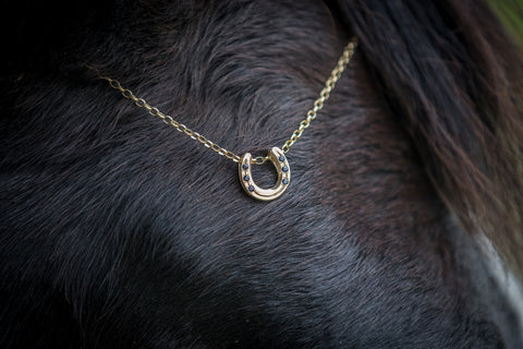 Horse Shoe Pendant - 9ct Gold - Sapphires