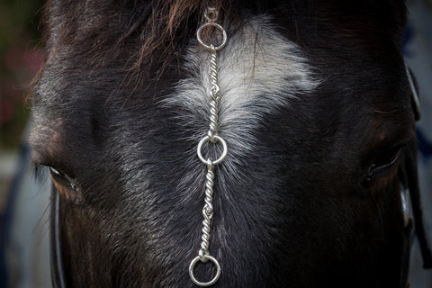 Twisted Wire Bit Bracelet - Single